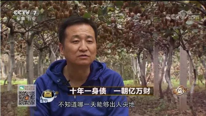养羊致富经2020年全集_养羊致富经_致富经创业项目农村养殖羊