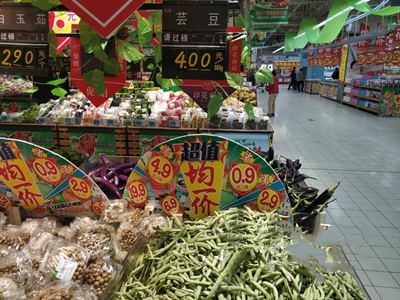 御兽灵仙