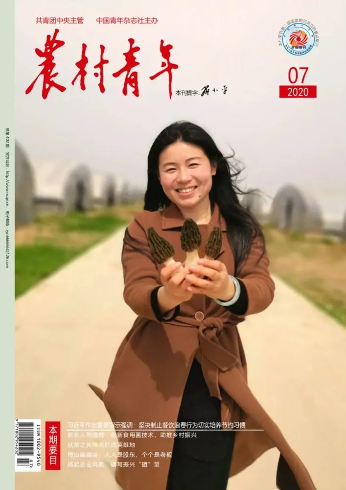 致富经.._致富加盟_致富经创业项目农村