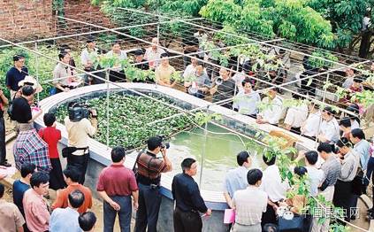 致富经室内养虾视频_致富经淡水虾养殖视频_致富经养虾
