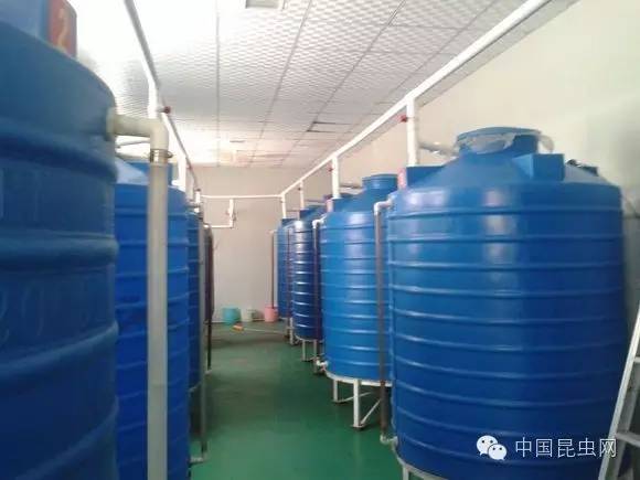 致富经养虾_致富经室内养虾视频_致富经淡水虾养殖视频