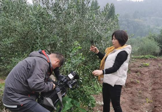 致富种植什么比较赚大钱_种植致富经_致富种植业