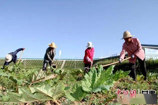 致富养殖业_养殖致富网视频_致富经养殖视频