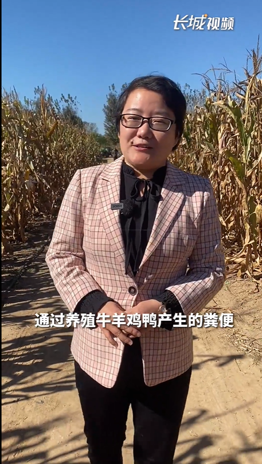 致富经_农业致富好项目_致富好项目