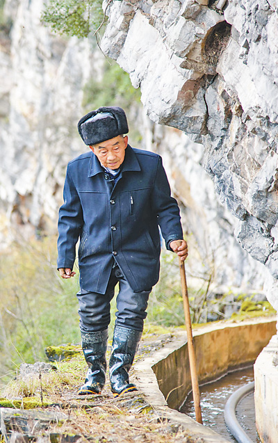 致富黄金叶_致富经黄_致富黄金叶乐了烟农