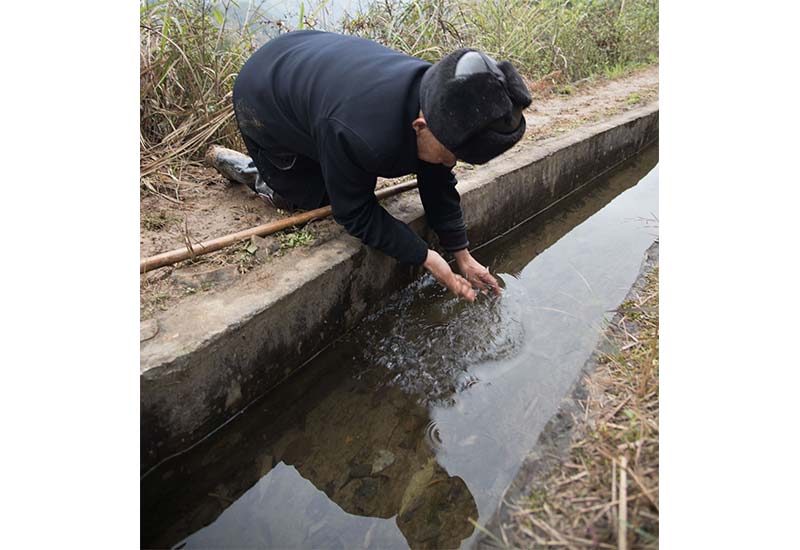 致富黄金叶乐了烟农_致富黄金叶_致富经黄