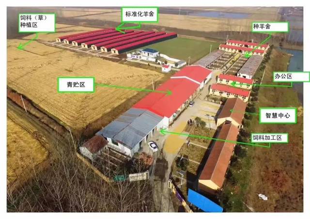致富养羊能手资料_养羊致富经2020年全集_致富经养羊