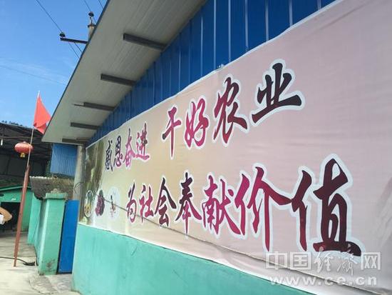 【网络媒体走转改】革命老区精准扶贫“十八般武艺”