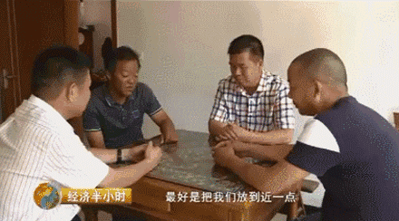 央视频致富经_央视致富节目_致富经央视