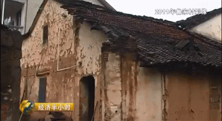 央视致富节目_央视频致富经_致富经央视
