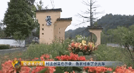 央视频致富经_央视致富节目_致富经央视