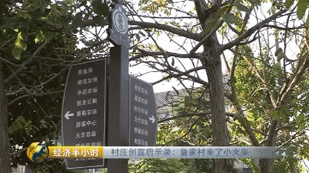 致富经央视_央视致富节目_央视频致富经