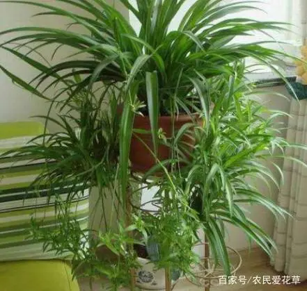 优质精选图片_优秀经验分享模板_15天优质经验分享图片