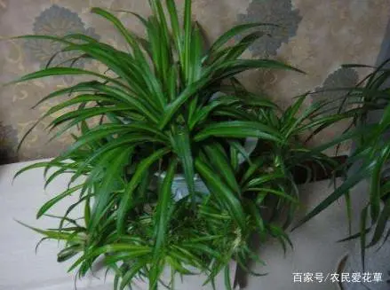 优秀经验分享模板_15天优质经验分享图片_优质精选图片