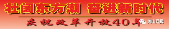 村医致富经免费完整版ab_致富小村医_村医致富经