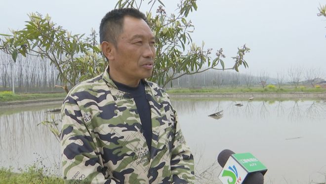 致富经乌龟养殖场的视频_致富经养龟_致富经养乌龟