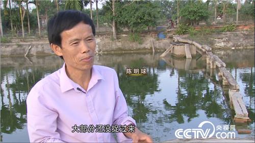 [致富经]“龟痴”发龟财 20180309