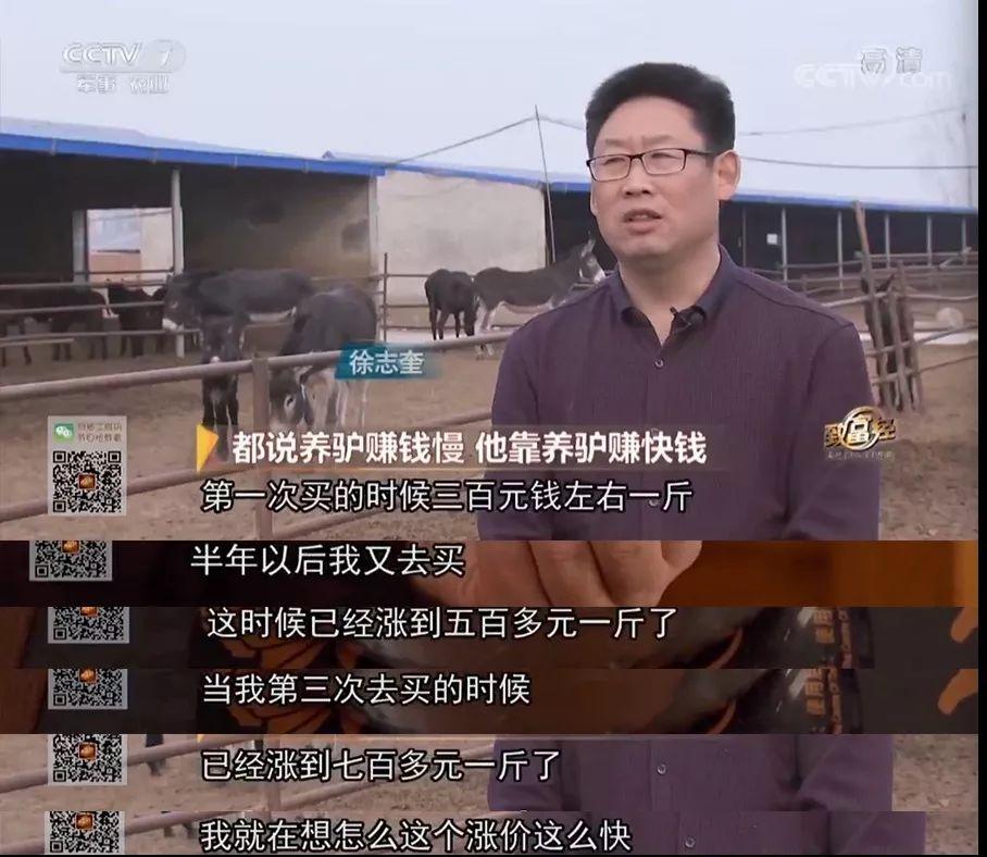 致富经养驴_驴养殖前景_养驴致富视频
