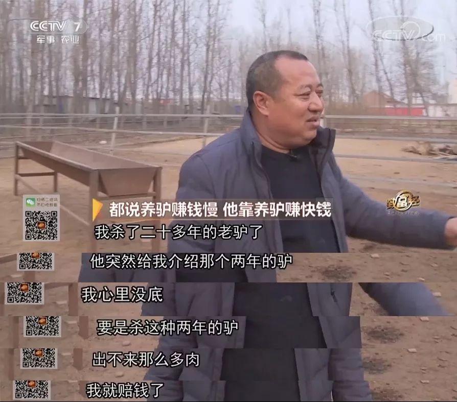 驴养殖前景_致富经养驴_养驴致富视频