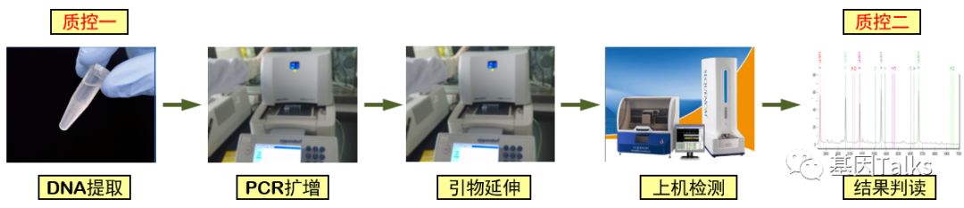 致富经虾_致富经虾_致富虾真的