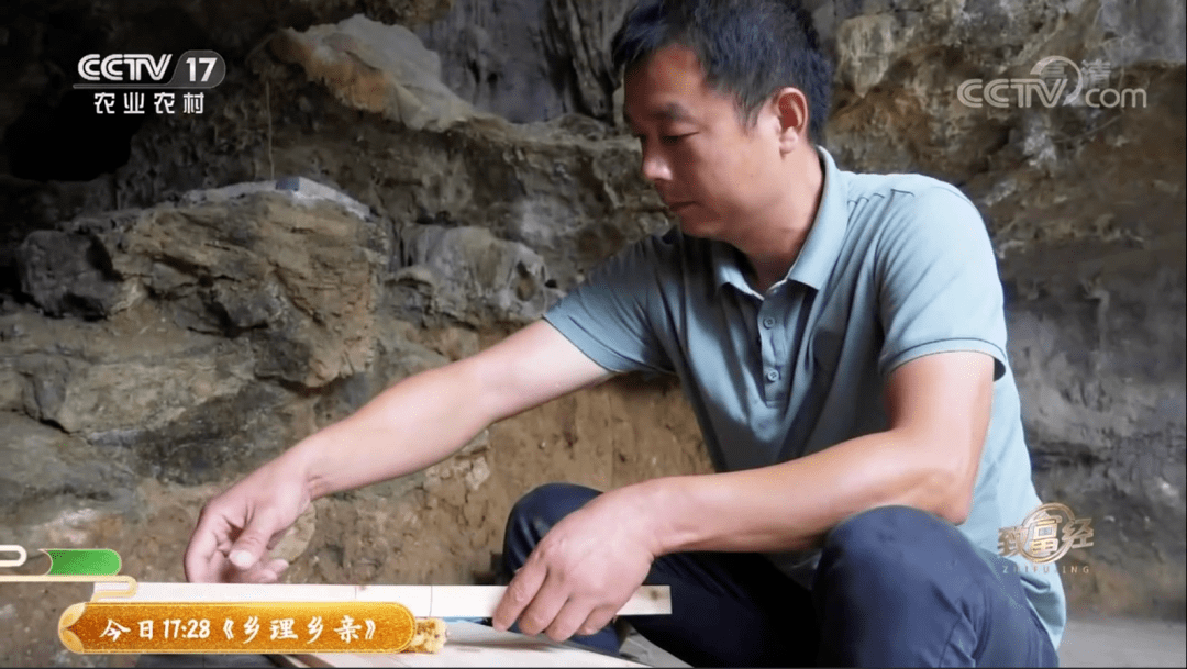 中央致富经在哪个频道_中央7套致富经全集_中央致富经全集