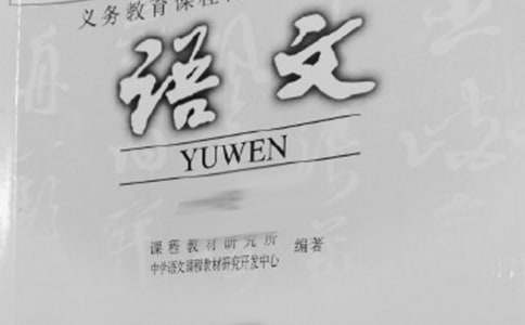 【精华】语文教学心得体会模板锦集六篇
