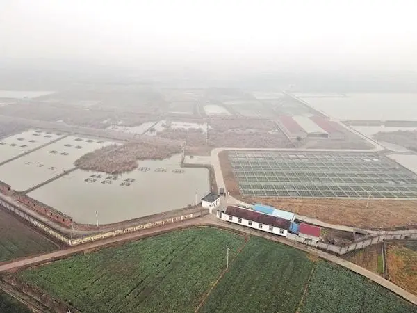 致富经乌龟养殖场的视频_养乌龟致富_致富经养龟