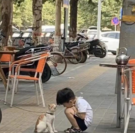 优质回答经验领域怎么写_领域优质回答经验_优质回答的标准是什么