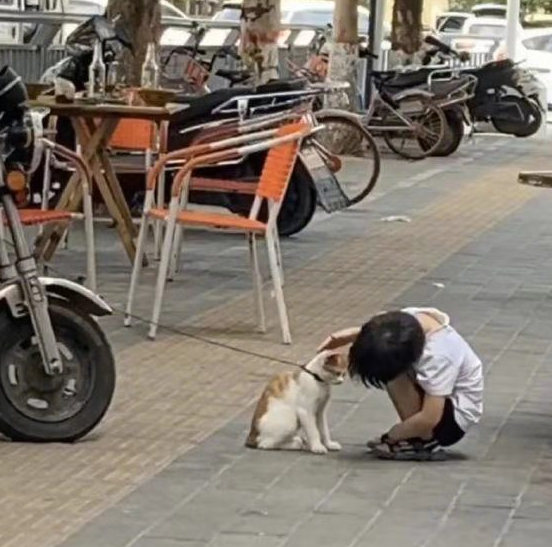 优质回答的标准是什么_领域优质回答经验_优质回答经验领域怎么写