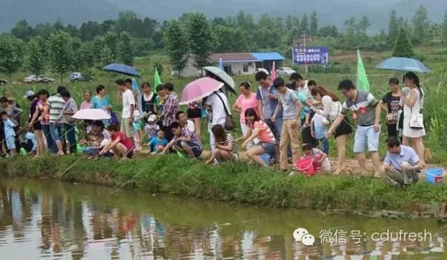 当下最流行的稻田养殖模式设计的要点