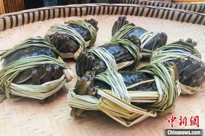 图为江西省彭泽县马当镇“洋船头”江水蟹产业园里的大闸蟹。　吴鹏泉 摄