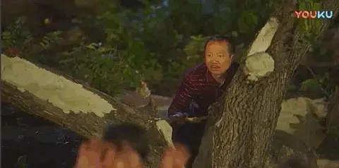致富农村句子_致富农村项目_农村致富经