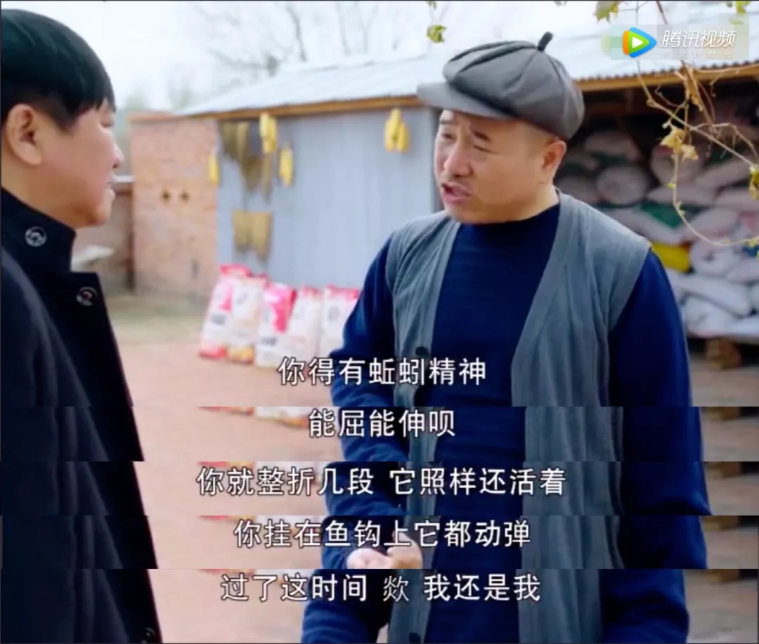 农村致富经_致富农村项目_致富农村句子
