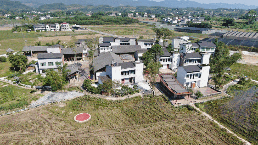 致富农村致富网致富门路_农村致富经_致富农村句子