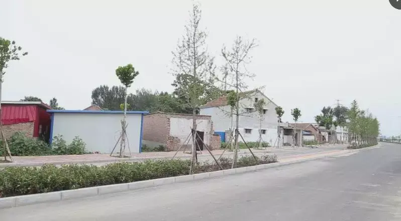 央视农业节目致富经_陕西农林卫视致富经_农林卫视致富经