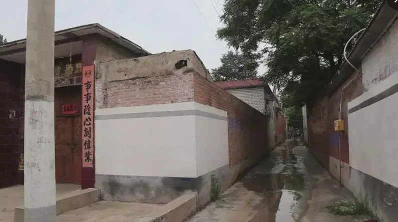 陕西农林卫视致富经_农林卫视致富经_央视农业节目致富经