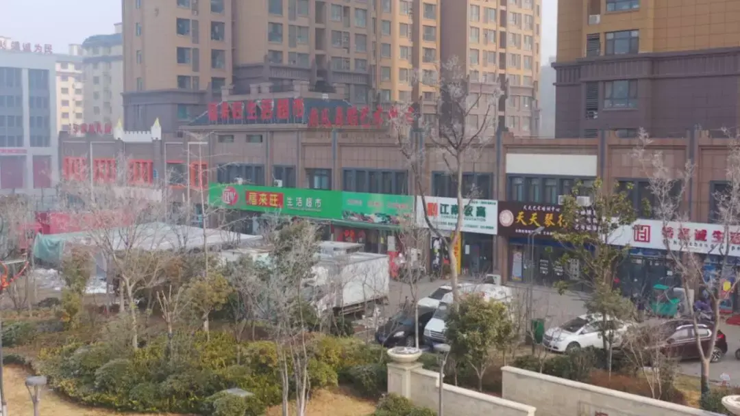 陕西农林卫视致富经_央视农业节目致富经_农林卫视致富经