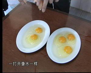 门外汉养鸡