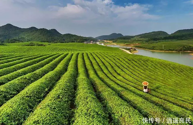 致富项目加工办厂_致富项目商机_致富经项目