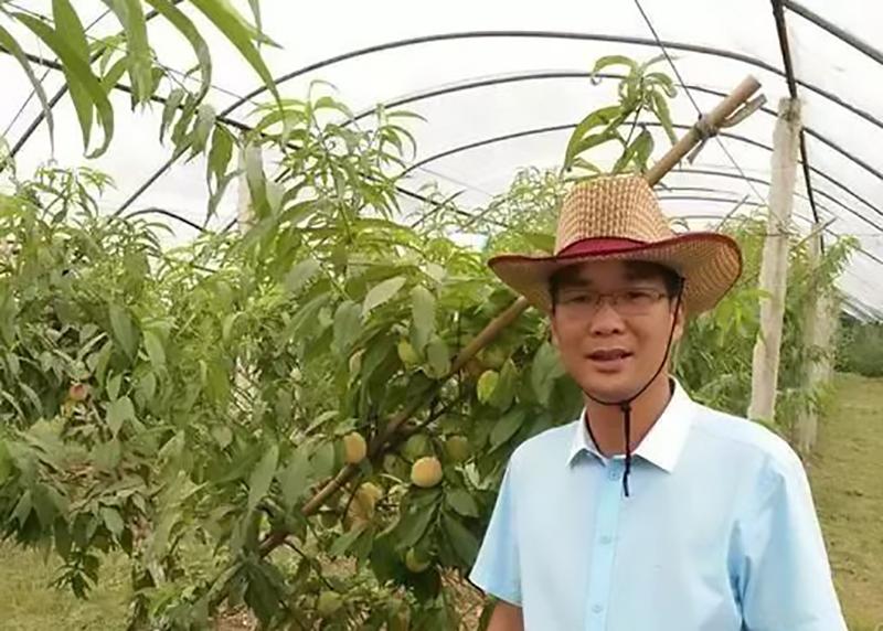 三农致富养鹅视频_致富经鹅养殖技术视频_致富经养鹅视频