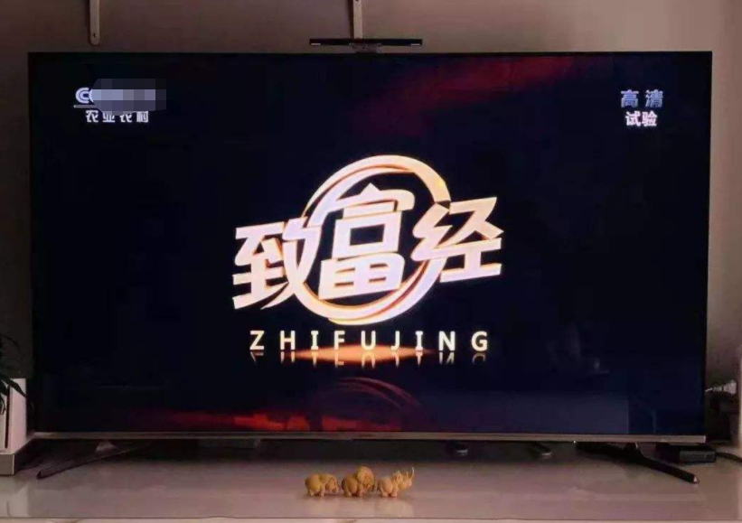 致富经养蛇视频大全_致富经养肉蛇_致富经养蛇