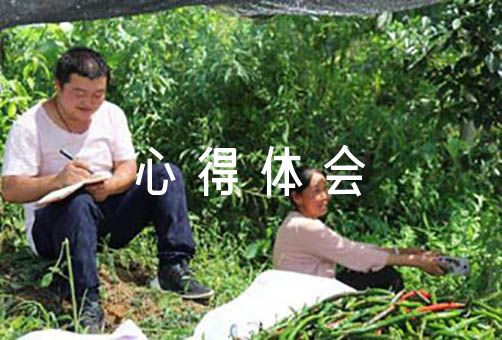心得与经验_风控经验心得_心得经验怎么写