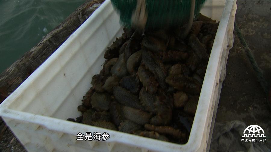 致富网下载_致富经官网_致富网官方网站
