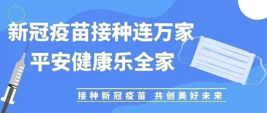 养羊致富经_致富经创业项目农村养殖羊_致富经养羊