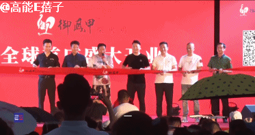 致富养鸡好段_养鸡致富经_致富项目养鸡