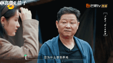 致富项目养鸡_致富养鸡好段_养鸡致富经