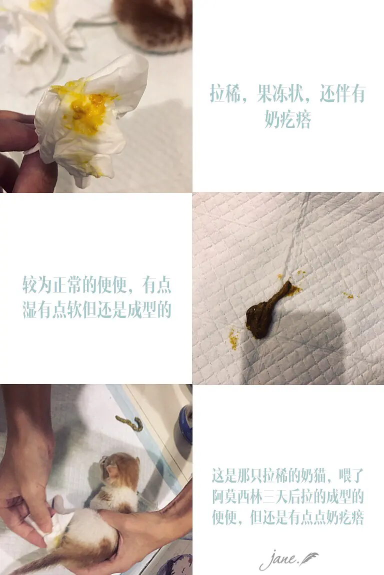 优秀经验分享的好处_优质精选图片_15天优质经验分享图片