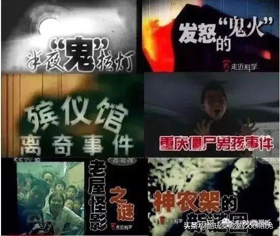 致富经央视_央视致富节目_央视致富经2021全集视频