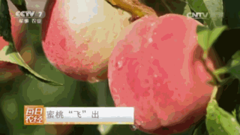 央视致富经2021全集视频_央视致富节目_致富经央视