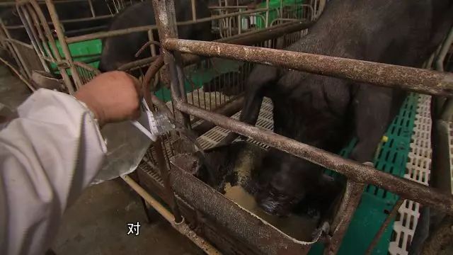 致富经2017_致富2023_致富经